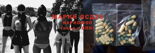 гашик Алексеевка