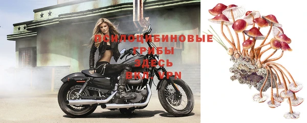 крисы Алзамай