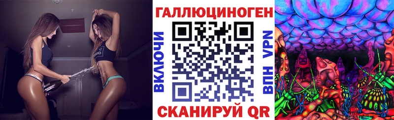 Галлюциногенные грибы Psilocybe  Саров 